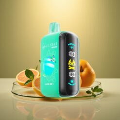 ELF BAR RAYA D3 25000 Puffs Rechargeable Disposable Vape with Type-C & Large Screen - Alpine Mint